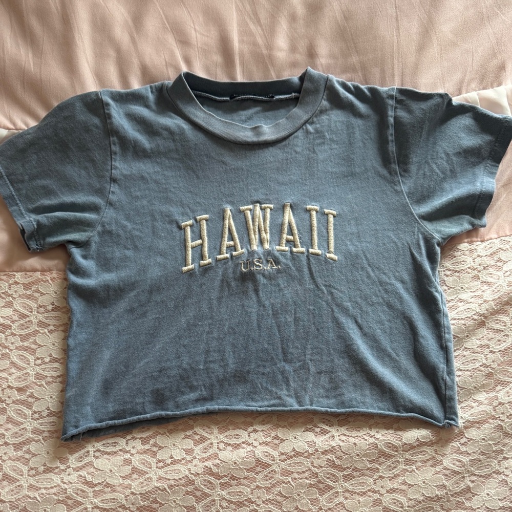 Brandy Melville Embroidered Hawaii Crop Top Blue | Vintage Style T-Shirt